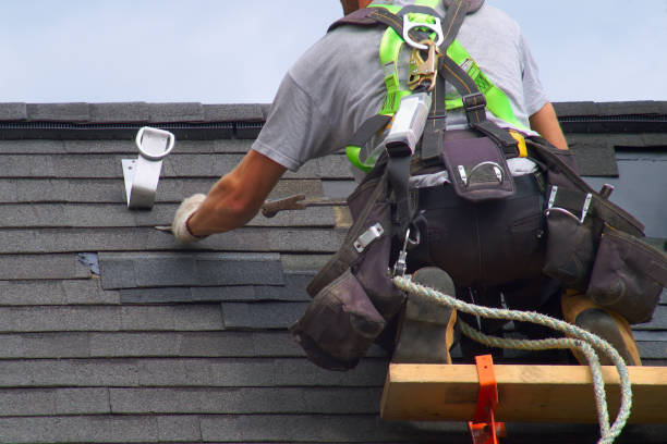 Best Stone Veneer Siding  in Prospect Park, NJ