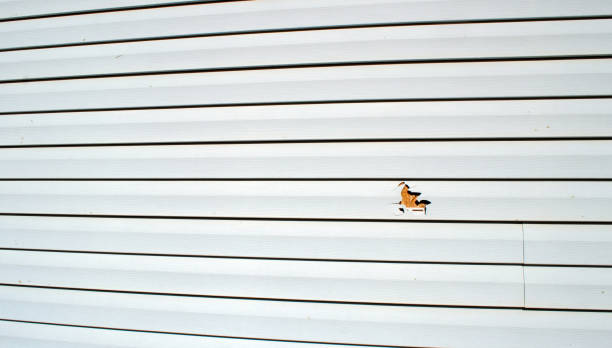 Best Steel Siding Installation  in Prospect Park, NJ