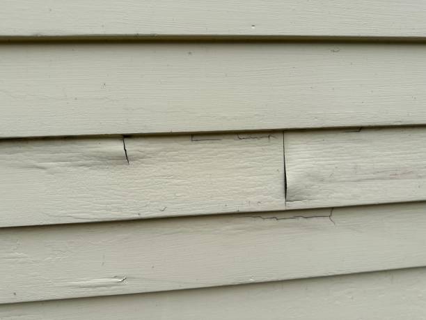 Best Brick Veneer Siding  in Prospect Park, NJ